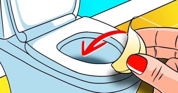 La forma correcta de usar el ajo para limpiar el inodoro