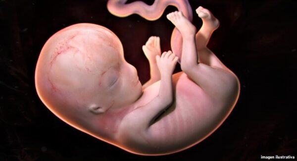 La historia de la bebé que nació a partir de un embrión congelado y encontró una familia