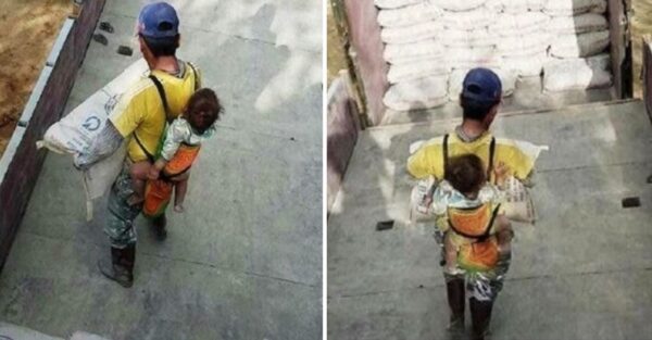 La historia de la foto viral de un padre trabajando con su hijo en la espalda