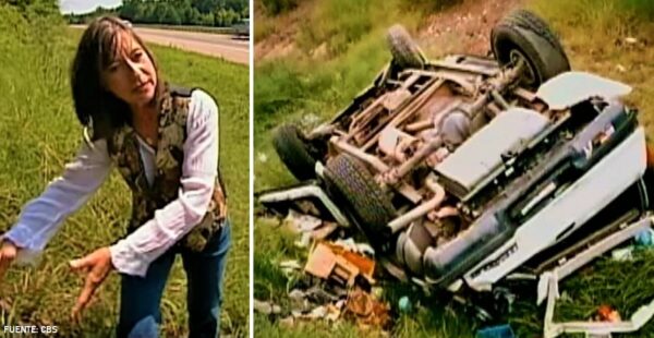 La historia del perro que se reúne con su familia gracias a un extraño