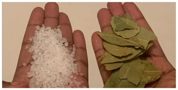 La magia del laurel y la sal: Usos al aire libre más allá de la cocina