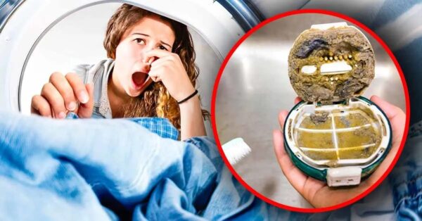 ¿La ropa huele mal después del lavado? Simplemente limpie este objeto para solucionar el problema.