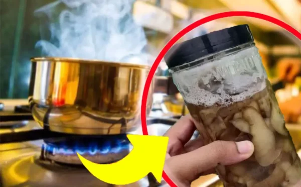 Las cáscaras de patata, no las tires: “valen oro” | Agréguelos a una jarra con agua hirviendo | ¡Puedes hacer cualquier cosa con él