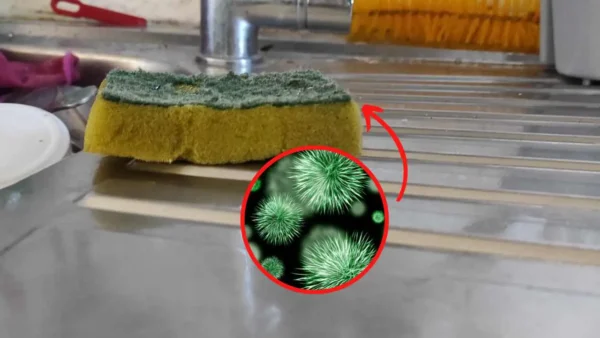 Las esponjas para platos están llenas de bacterias, está más sucia que el inodoro: cómo limpiarlo