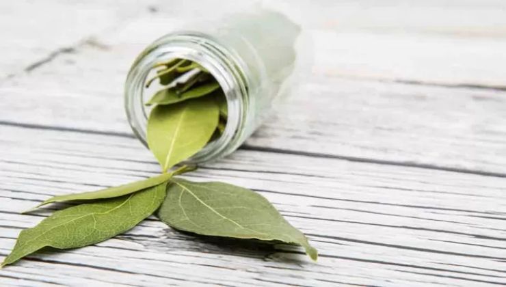 Laurel: así es como usarlo para lavar nuestra ropa