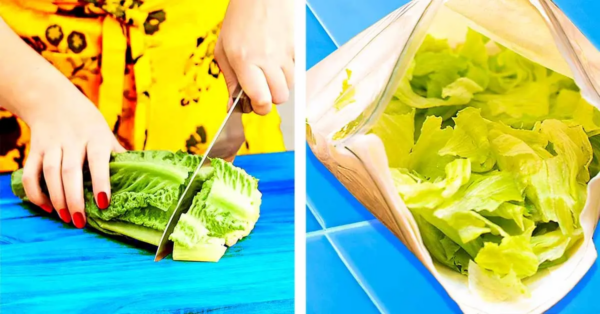 Lechuga fresca y crujiente durante 3 semanas: aquí está el truco
