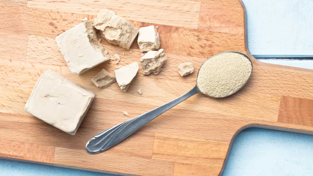 Levadura de cerveza fresca y seca