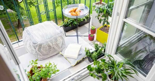 Lila, una planta imprescindible para tu balcón en primavera