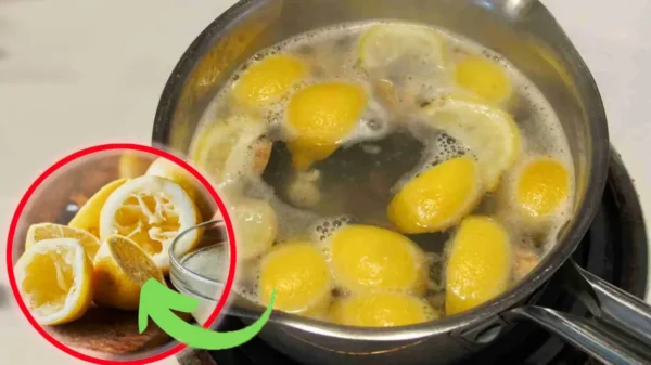 Limones exprimidos: no te atrevas a tirarlos, ponlos a hervir | Siempre los uso así, ¡son realmente útiles para todo!