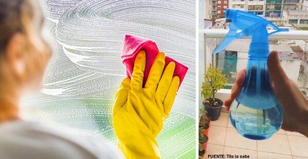 Limpiador de vidrios casero para las ventanas de la casa
