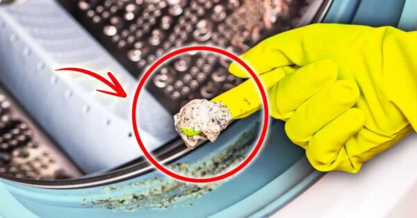 Limpiar la goma de la lavadora para dejarla como nueva: el truco fácil