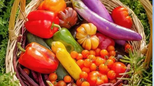 Los 10 errores a evitar para un bonito huerto