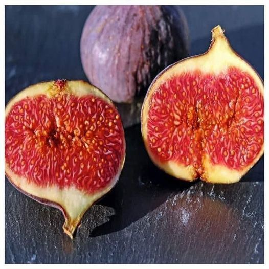 Los higos no son una fruta, son una flor y tienen insectos dentro