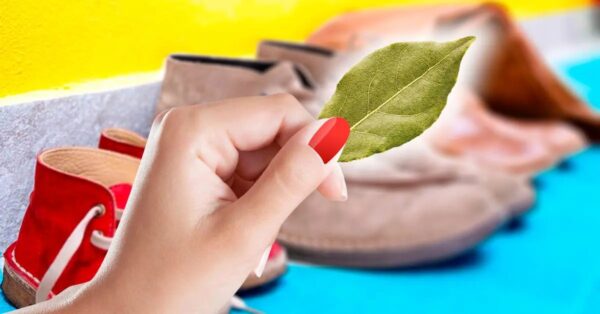 ¿Malos olores en los zapatos? Una hoja de laurel se deshace del problema para siempre.