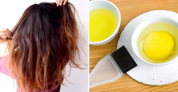 Mascarilla de huevo, aceite y miel para fortalecer el cabello quebradizo