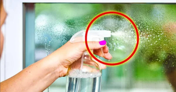 Medio vaso de este ingrediente que tengas en casa es suficiente para tener las ventanas limpias y relucientes