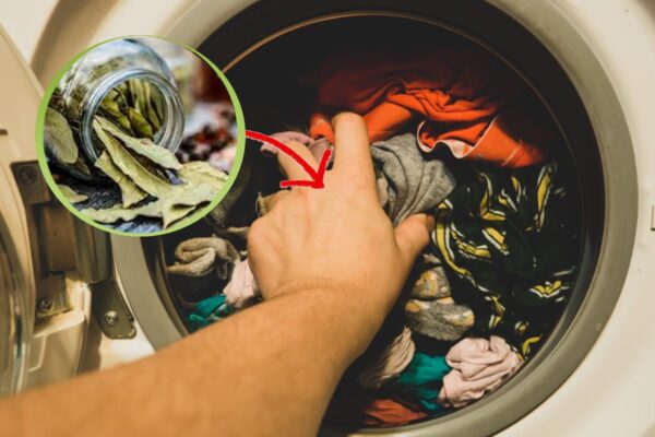 ¡Mete 4 hojas de laurel en la lavadora y verás los resultados!