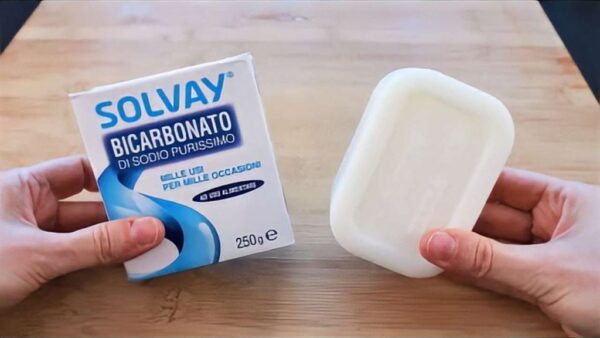 Mezcla estos dos ingredientes, te ahorras mucho dinero a final de mes