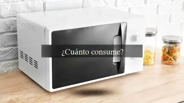 Microondas, ¿sabes cuánto consume cuando está apagada? Aparecen figuras: impensable
