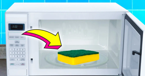 ¿Microondas sucio? El truco de la esponja es la mejor solución para que parezca nueva