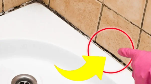 Moho negro alrededor de la ducha, solo te deshaces de él si haces esto | ¡Nunca había tenido un baño tan limpio