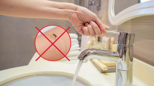 Mosquitos, los eliminas todos en un instante con el antiguo método del grifo abierto