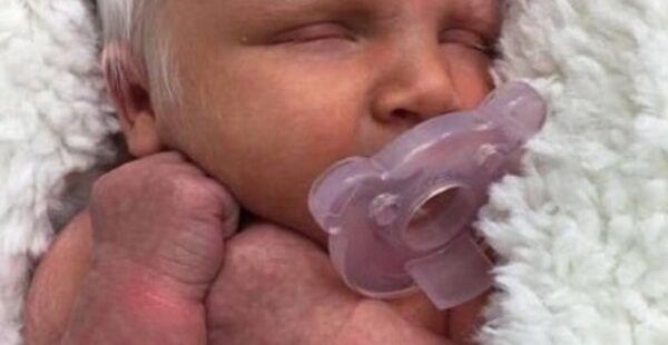 Nace un bebé con cabello blanco que parece un ángel, es muy bello