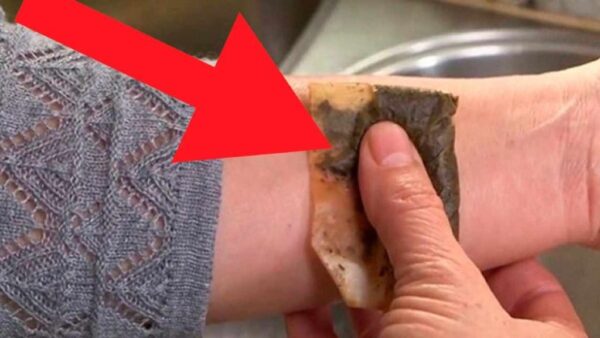 No cometas el error de tirar las bolsitas de té, valen su peso en oro usadas así