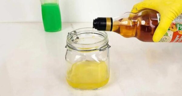 No dejes que los mosquitos te molesten más, con esta trampa no volverán