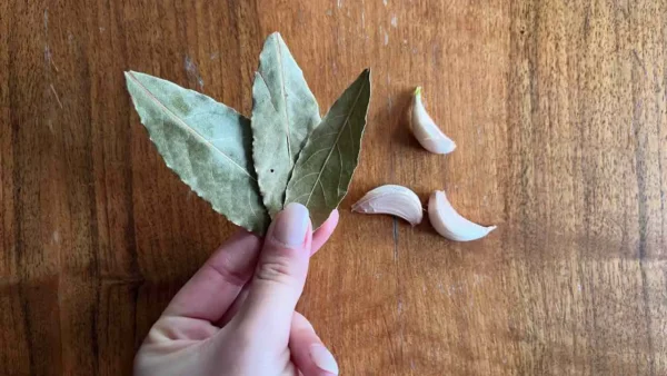 No más pelo corto, crecerá en un abrir y cerrar de ojos: el método del pasado