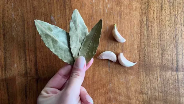 No más pelo corto, crecerá en un abrir y cerrar de ojos: el método del pasado