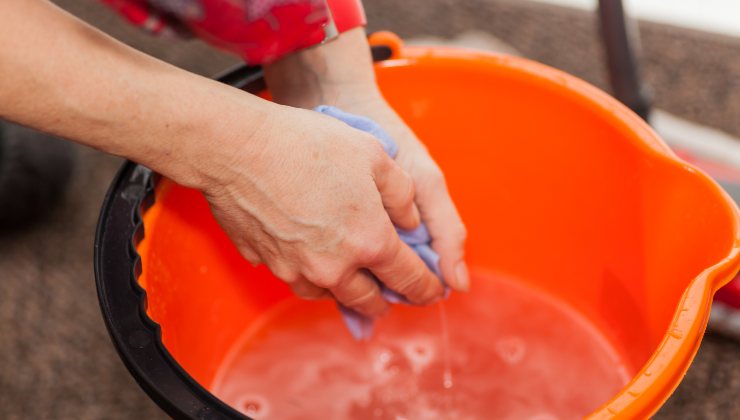 El repelente natural