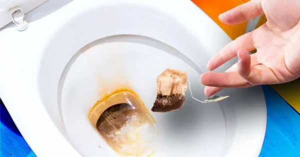 No tires las bolsitas de té usadas: limpian el inodoro en un abrir y cerrar de ojos
