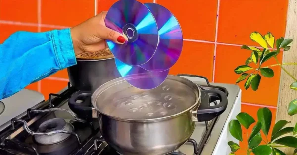 No tires tus viejos CD: aquí hay algunas formas realmente inteligentes de reutilizarlos