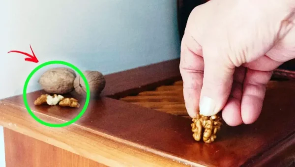 No todo el mundo pule la madera correctamente: tenga cuidado, esto es lo que debe usar