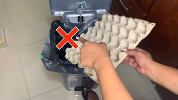 No volverás a tirar cartones de huevos después de descubrir lo preciosos que son en casa.