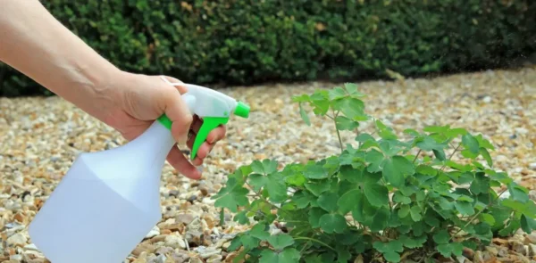 ¡Nuestra receta casera de herbicida con vinagre blanco para un jardín sano y natural!
