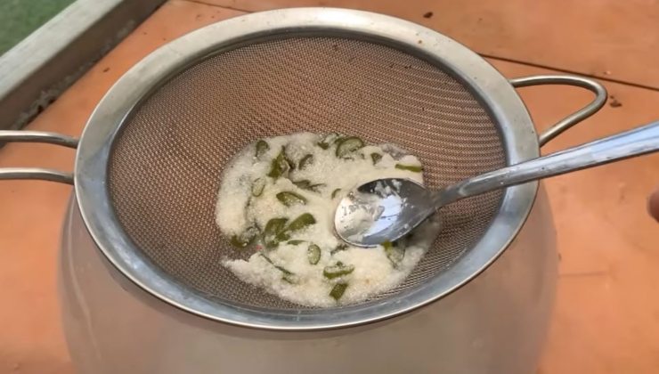 Fertilizante de arroz y aloe vera Fertilizante de arroz y aloe vera