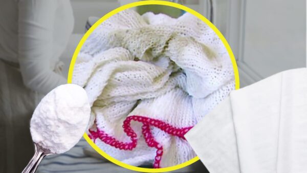 Paños de cocina, no se necesita lavadora: desecha 1 cucharada | Las tendrás blancas y muy limpias.