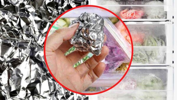 Papel de aluminio en el congelador, ahora todo el mundo lo hace: ahorras mucho dinero