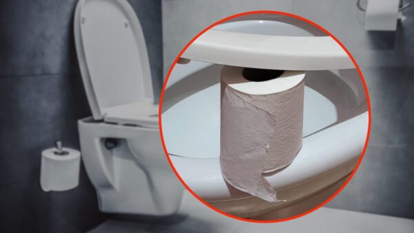 Papel higiénico en el baño, déjalo siempre así: el motivo es absurdo pero te salva la vida