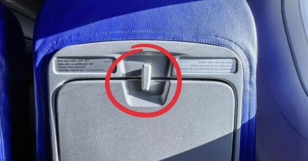 ¿Para qué se utiliza el pestillo de bloqueo de la mesa plegable de su avión?