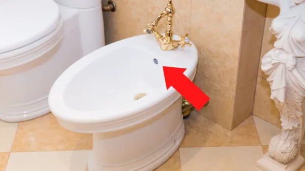 ¿Para qué sirve el segundo agujero del bidé del baño? Es muy útil pero todos lo ignoran.