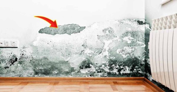 ¿Pared dañada por la humedad? El truco para recuperarlo rápidamente: no hace falta llamar a un profesional