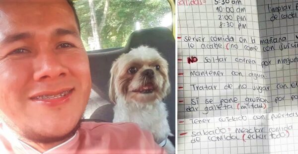 Perrito es abandonado en un taxi junto con una nota y el taxista decide adoptarlo