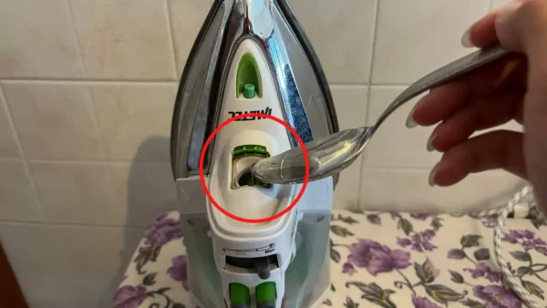 Planchar, echar un poco en el depósito: paños muy perfumados en 2 minutos