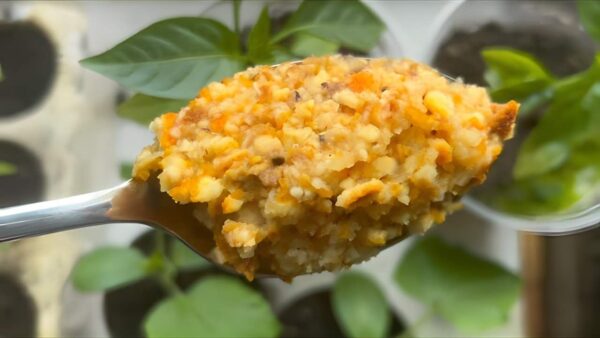 Plantas sanas, verdes y súper exuberantes: los resultados son visibles de inmediato