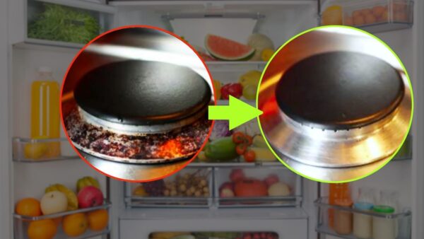 Platos incrustados, para que vuelvan a parecer nuevos utiliza este ingrediente: cómelo con frecuencia