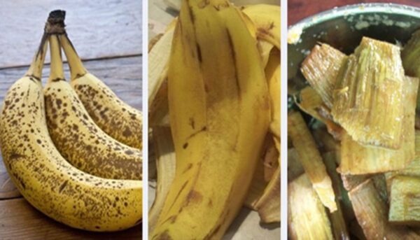 Plátanos: nunca tires esta parte. ¡Úsalo así! Vale su peso en oro