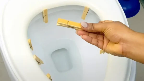 Pon 6 clavijas en el inodoro, lo que sucede unos momentos después es inesperado